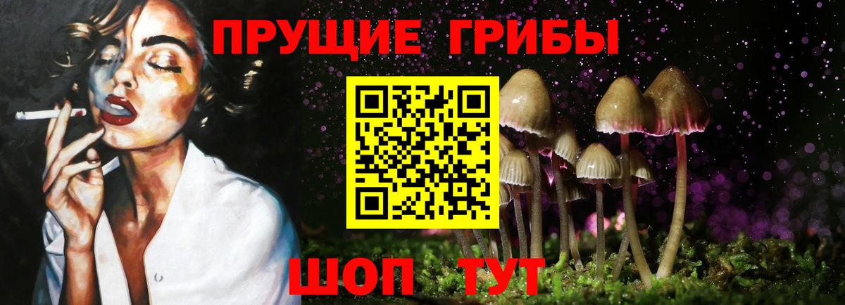 Псилоцибиновые грибы Psilocybine cubensis Мариинск