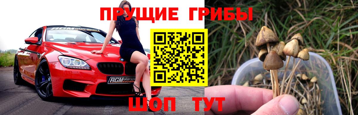 Псилоцибиновые грибы Cubensis  Псилоцибиновые грибы прущие грибы  Мариинск  Вход с VPN 